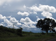 clique na foto para ampli-la