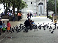 clique na foto para ampliá-la
