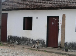 clique na foto para ampli-la