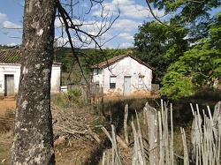 clique na foto para ampli-la