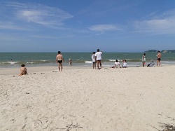 clique na foto para ampli-la