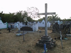 clique na foto para ampli-la