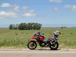 clique na foto para ampli-la