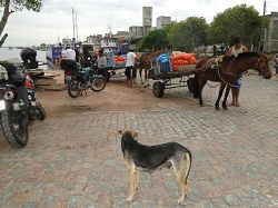 clique na foto para ampli-la