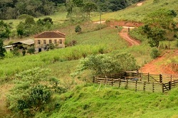 clique na foto para ampli-la