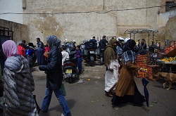 clique na foto para ampli-la