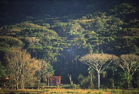 clique na foto para ampli-la