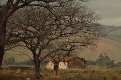 clique na foto para ampli-la