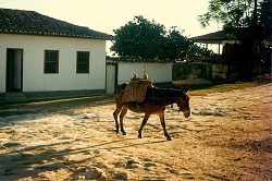 clique na foto para ampli-la