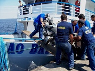 clique na foto para ampli-la