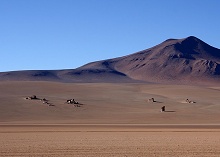 clique na foto para ampli-la